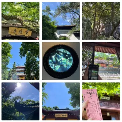 野孩子 · 杭州乌镇之旅