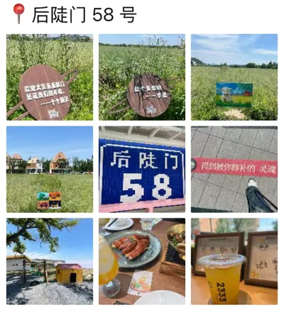 野孩子 · 杭州乌镇之旅